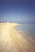 Fig tree Bay boasts one of the best beaches in Cyprus. - click to enlarge