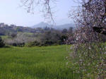 A view of Vavla accross the valley in spring
