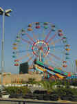 The big napa wheel