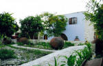 Garden Kamara House in Kato Drys - An agrotourism holiday house in Cyprus - The garden again.