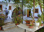 Greenery and colour at Kontoyiannis, Kalavassos  Cyprus