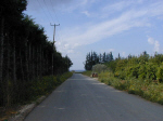 A quiet Paphian road