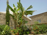 Yasmini villa in Tochni in Cyprus - Part of the Agrotourism project - a carefully restored self catering villa for your holiday rentals in Cyprus